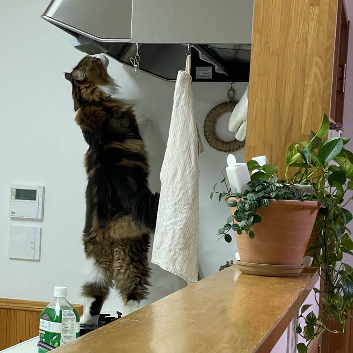 B6dd6280 5885 4f23 a2c6 cabcfbcc9707 1732477996648