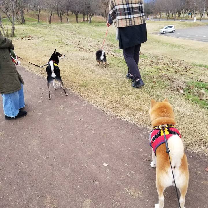 B6ddb44f a3fc 4765 83a9 c051f5ded4f3 1606797681248