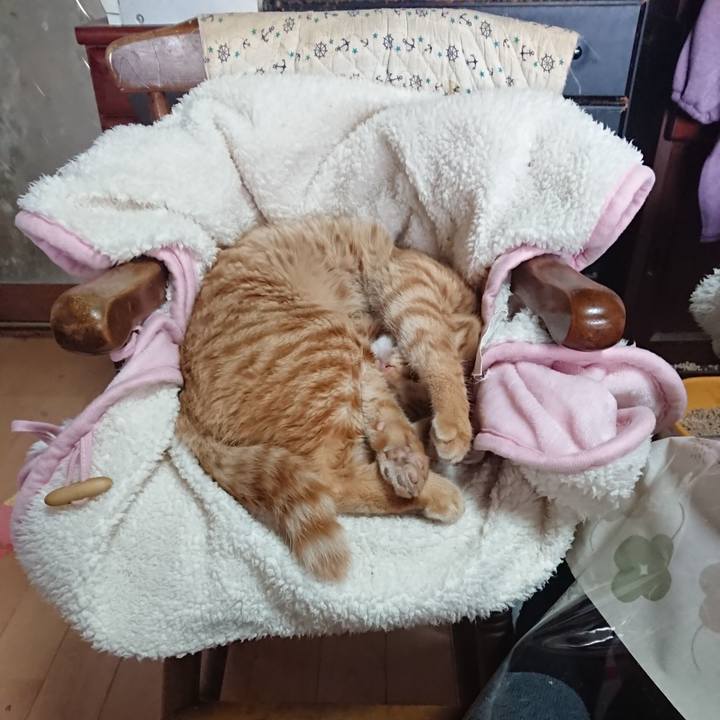 B6ddb8da 9204 457c 979e e742f85a4548 1640578811768