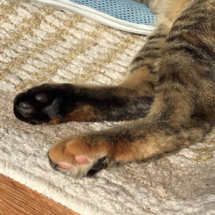 B6ddbc0e a462 4874 87db 5c4243c5a5d6 1575015813766