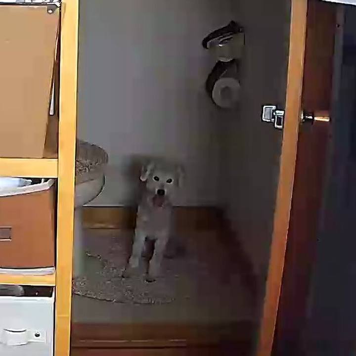 B6ddcbc0 c6fd 4e70 9a5e f39aa7822a79 1632974349938