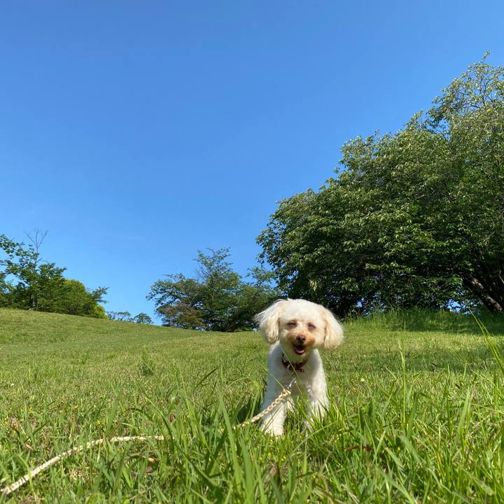 B6de0e42 ced9 4ba3 991a 2e3668edac66 1622330166852