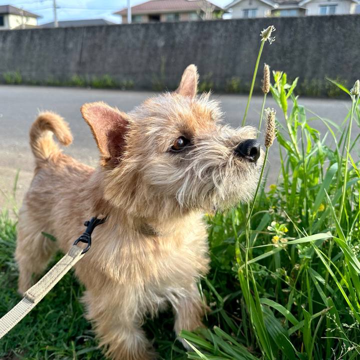 B6de411b d8ee 4066 a4ef 9aa601121730 1714995258731