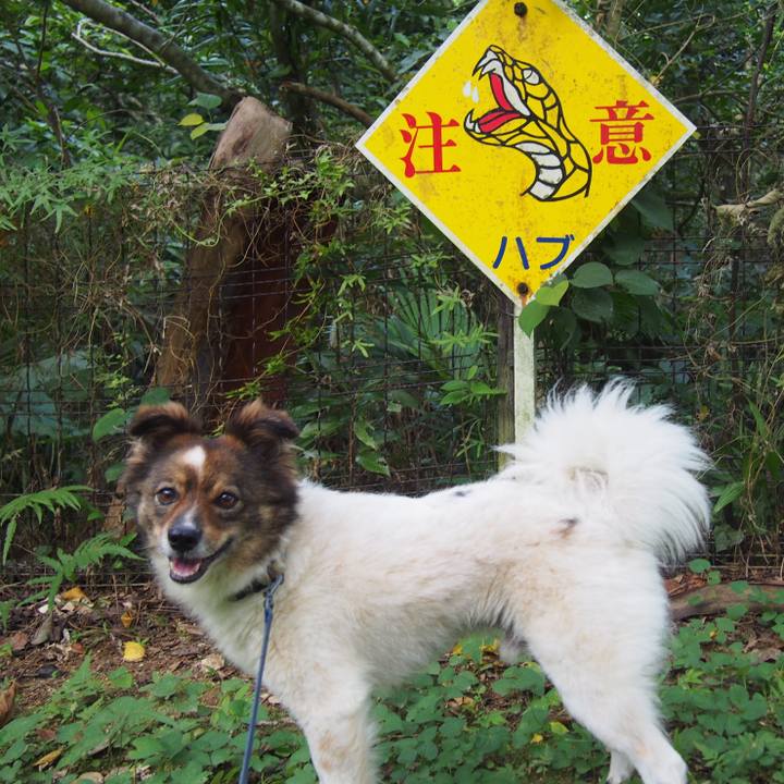 B6de56f1 5431 4f39 a06d ff714ef435ce 1615441252377