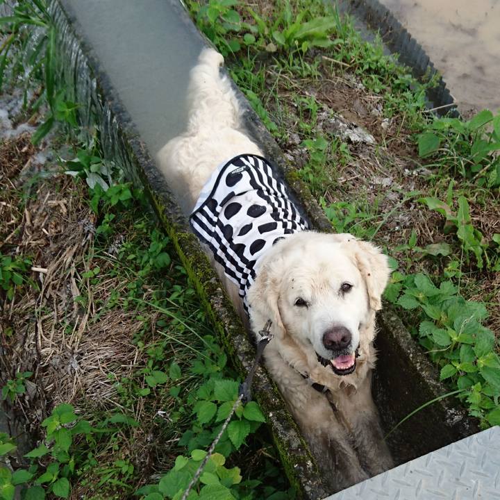 B6de74d8 5923 4cd3 9e43 294eebb5897f 1528509079431