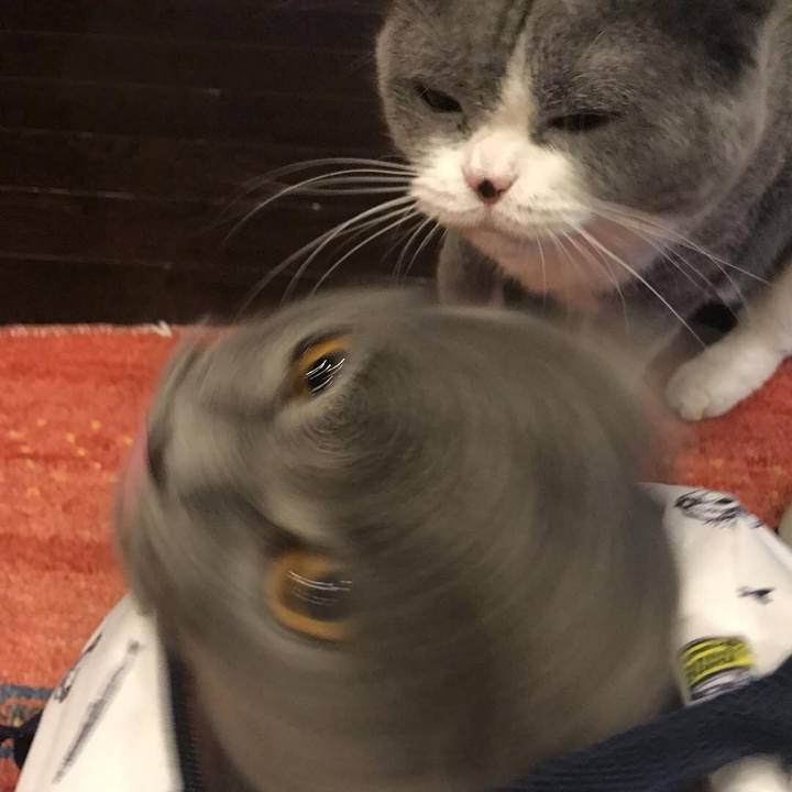 B6deb56b d882 4103 811f f0cea5059dd6 1536983499309