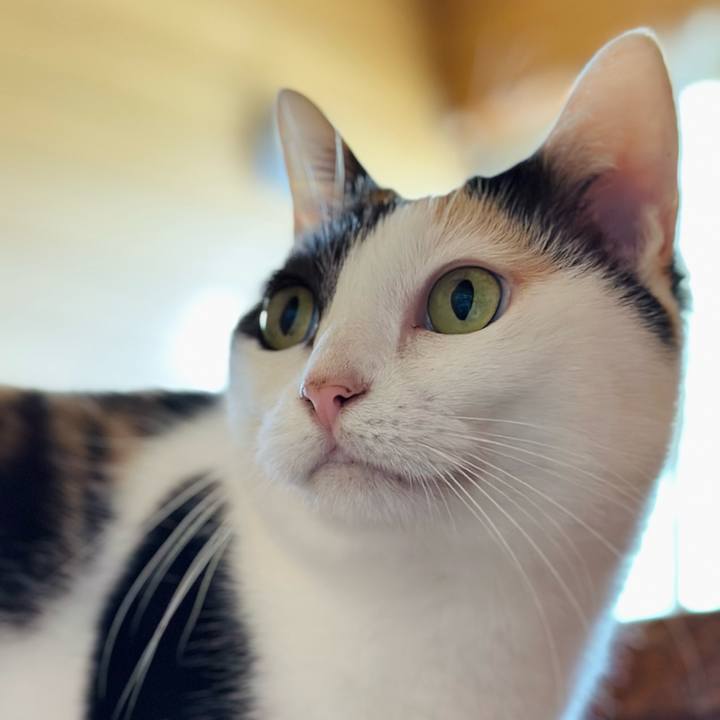 B6deef16 609a 450e b3c1 3e2be1680054 1698109517252