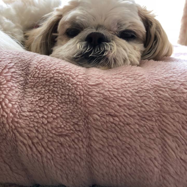 B6def267 a497 48fb 8415 108eed2ef281 1523655415468