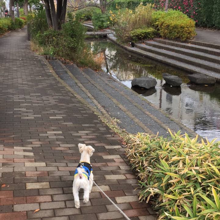 B6def563 86e4 4f77 b6dc d1470976e150 1544160992420