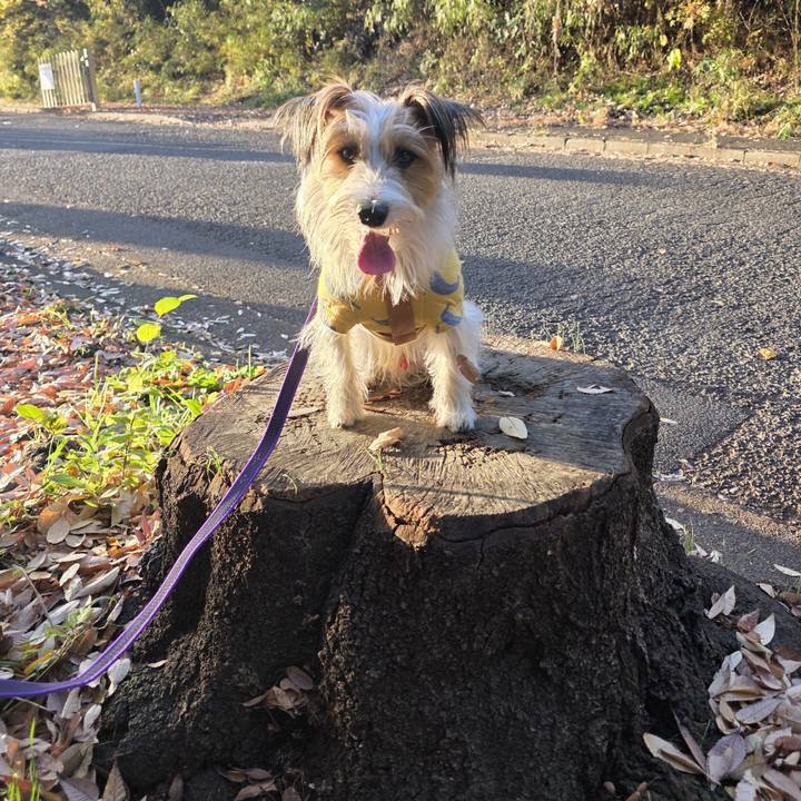 B6df2a24 9035 4a10 bd75 502eece74a4d 1764499344220