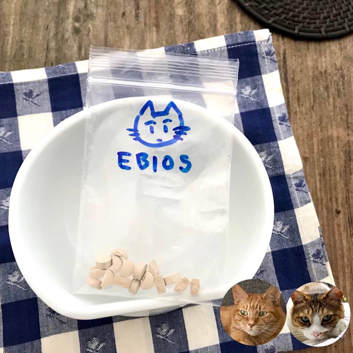 B6df353a 09ce 44f9 a744 d7ec3c07e700 1567047045201