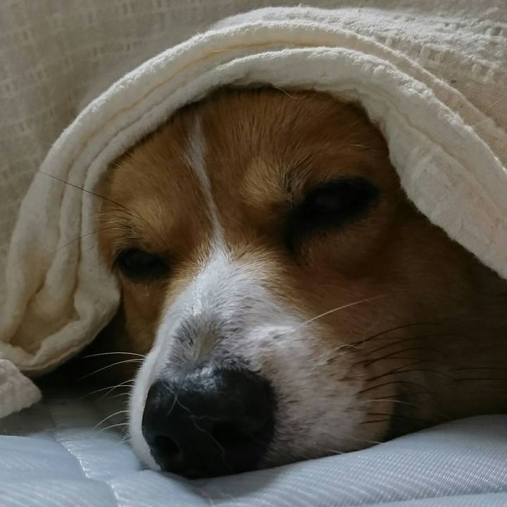 B6df4a23 487a 4421 b674 b27cd30ecb2b 1508916831454