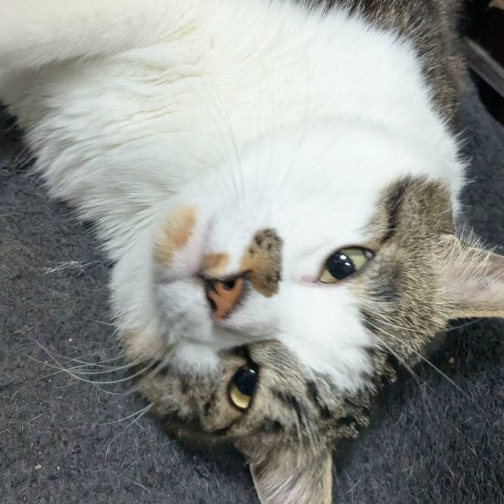 B6df4b68 3bfe 44c1 954e 056b180237b9 1745236764345