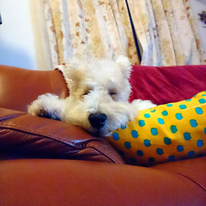 B6df53c3 3af5 4a87 b54f 9358601f2a98 1520340640800