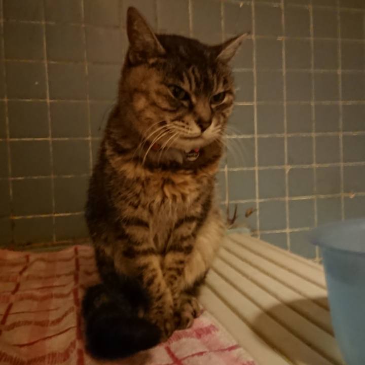 B6df6987 e572 4a6a 839f bae936f2b5bd 1580898947683