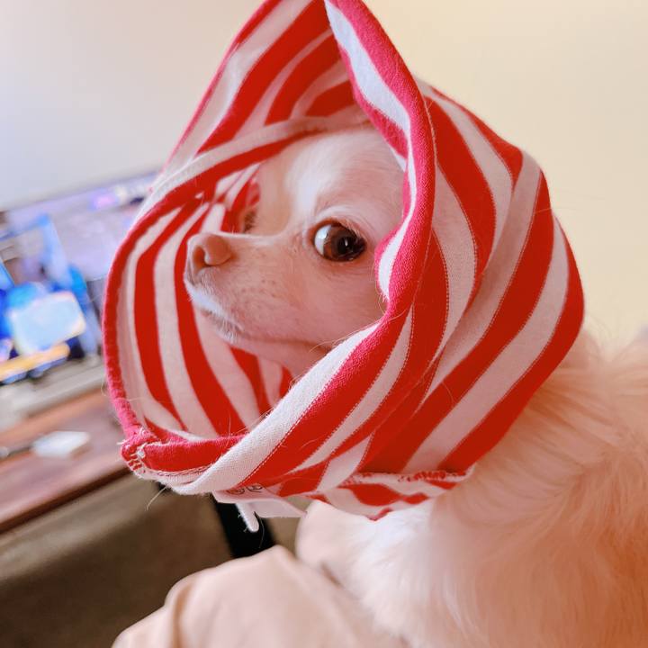 B6df7cc6 101a 4014 819e 6e486290f305 1664713852596