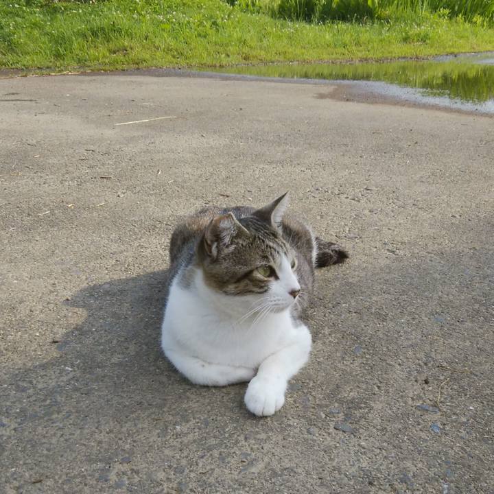 B6df8b7d ea58 421a 8b9a 570693a3107f 1529626093472