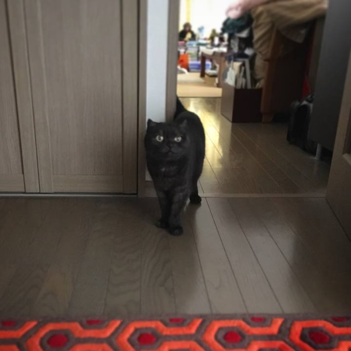 B6dfa333 8918 4a76 8ab3 c94fa35419e7 1541477446055