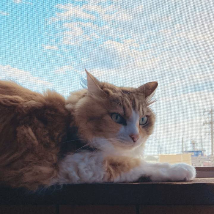 B6dfa503 d9eb 42c8 a028 8e59d5788493 1655629932420