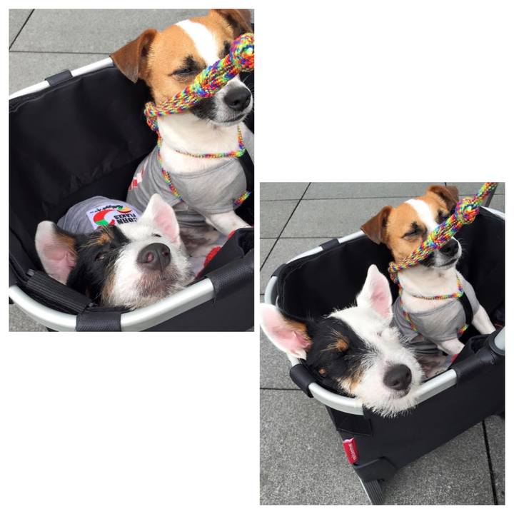 B6dfadea 29dc 4a98 be9e 7267b5281ba4 1652665775497