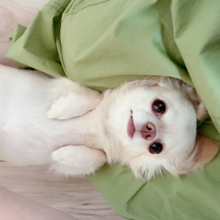 B6dfcb1a 06f6 475a b3b4 2d79f7cd06b1 1692690387011