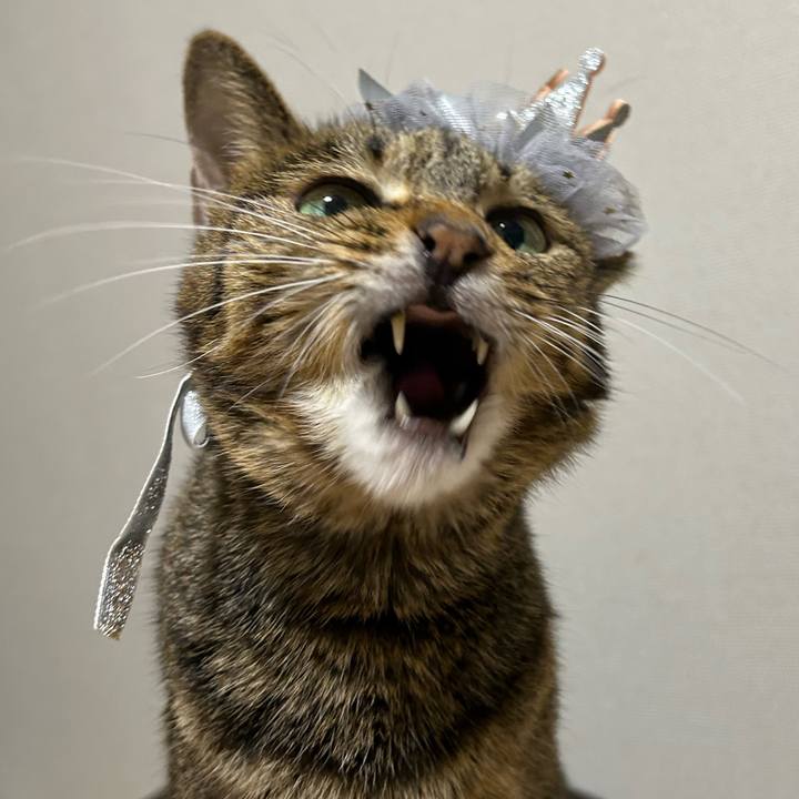 B6dfcc4b fe28 4e36 98a9 21d223a2c788 1728566148065