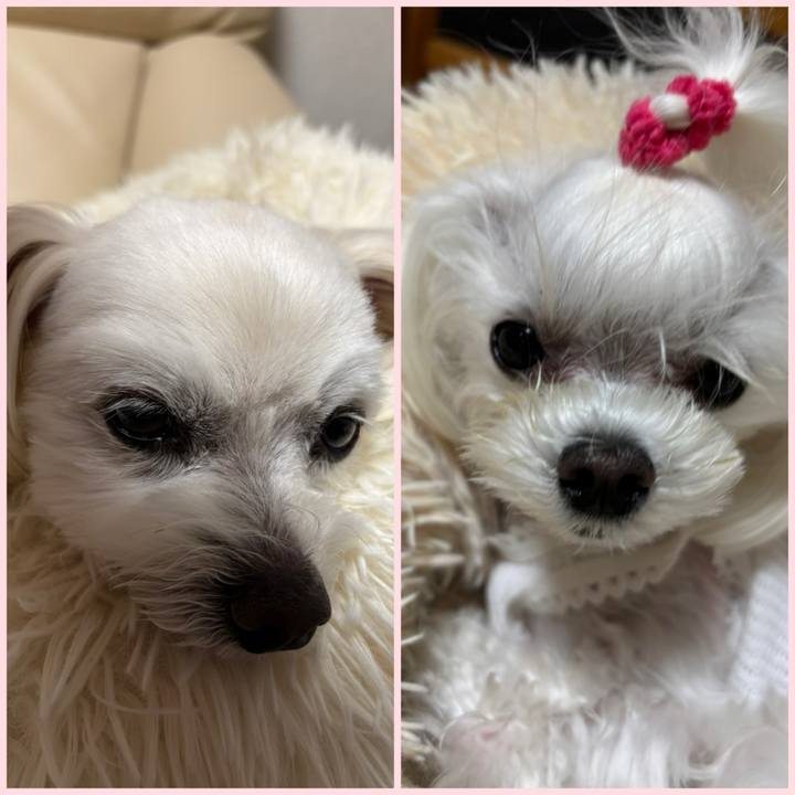 B6dffbf1 f0f3 48e8 be2d 5179b7b5368e 1745230563716