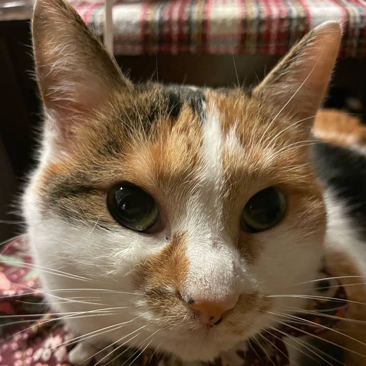 B6e006b1 6ae9 480e bd52 1c503c8eaf45 1762607962002