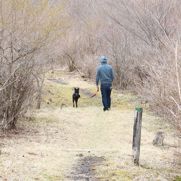 B6e01168 3da6 4e04 adcb 2fe05ba5d8ed 1613101815328