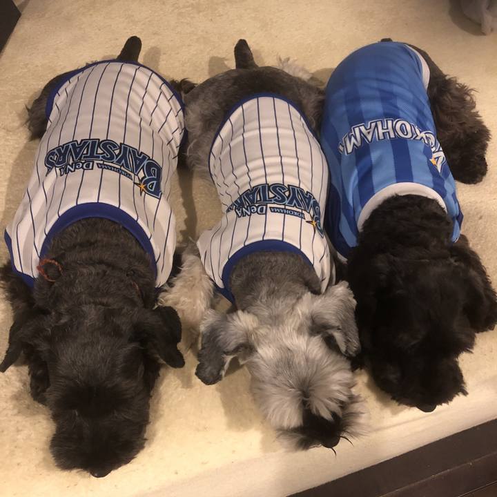 B6e0183b a359 4cc6 9bdf 7986238db23d 1570352173203