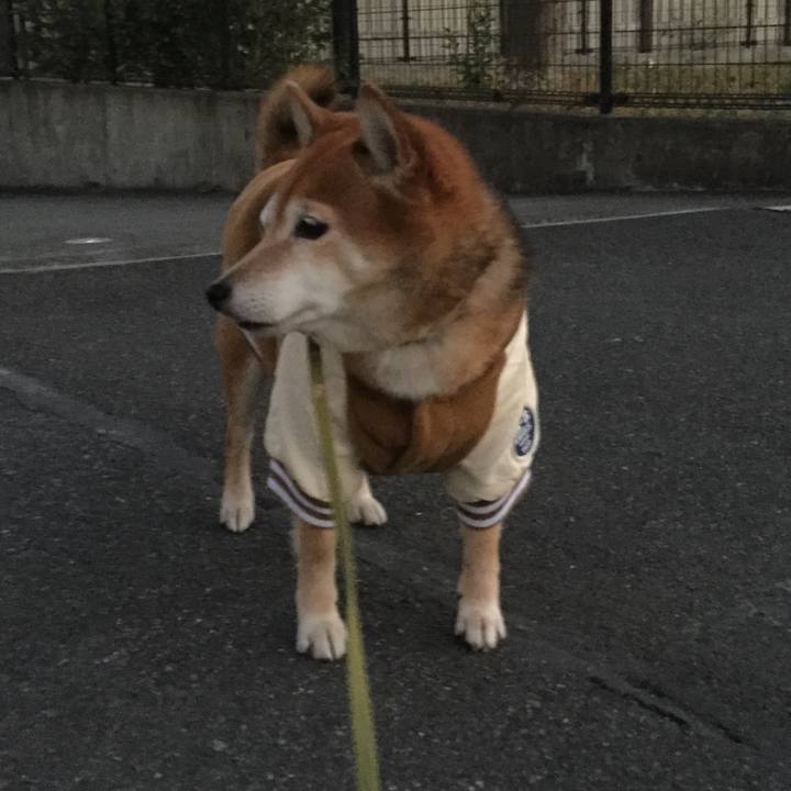 B6e01c47 11ac 4171 8ab6 c14c2f70b6c1 1608451830081