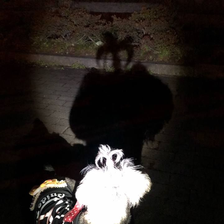 B6e02421 d339 41df 8bb5 7eb846c4850d 1553262381263