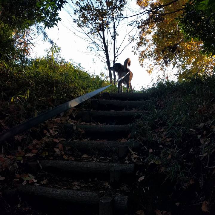 B6e02e2e f5fc 4ef4 bc7c 438d190c569d 1545096396973