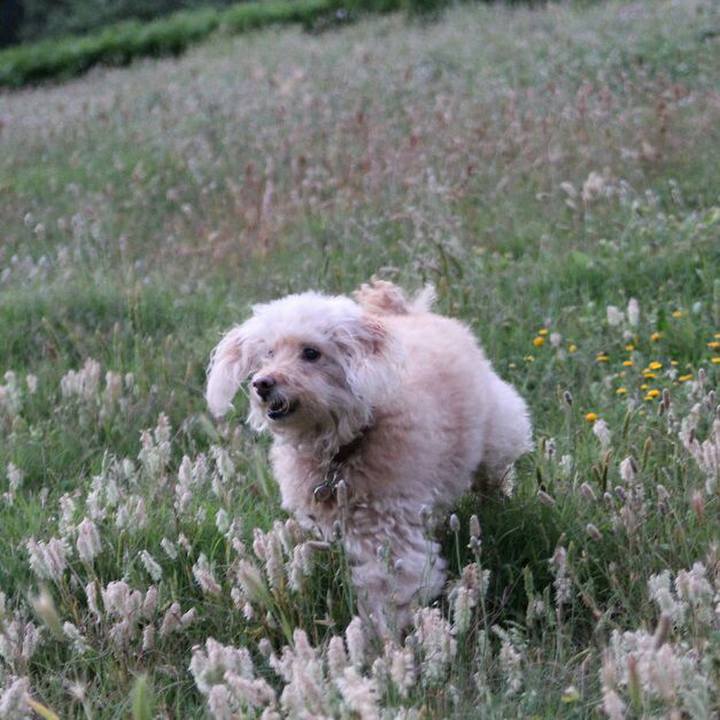 B6e0346d f7dc 4030 aee5 6bbf0b900d7d 1589806820127