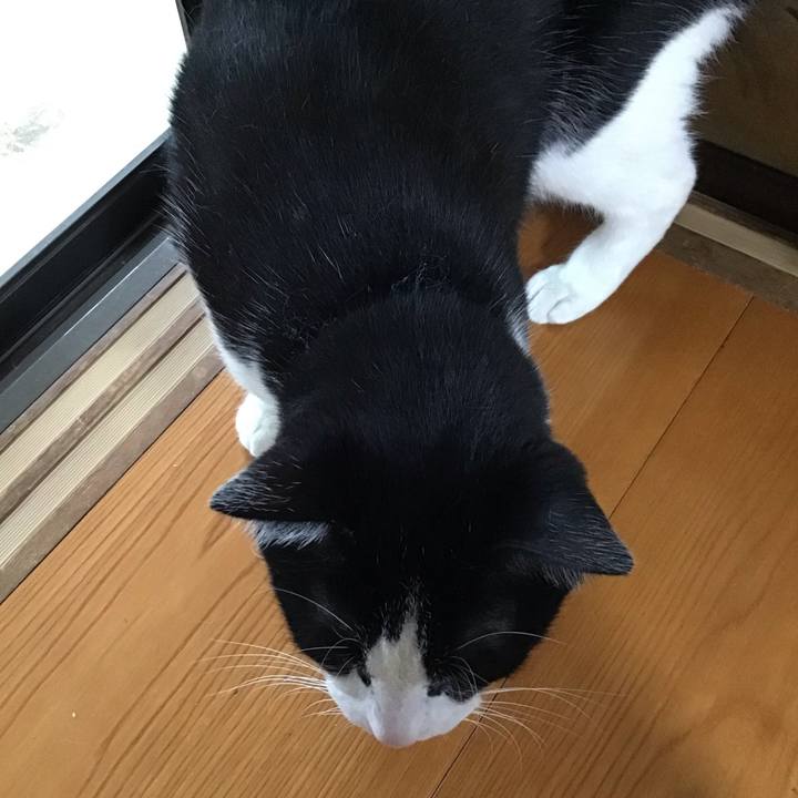 B6e03e84 60f4 42ca 9509 a8843b89898e 1754905808451