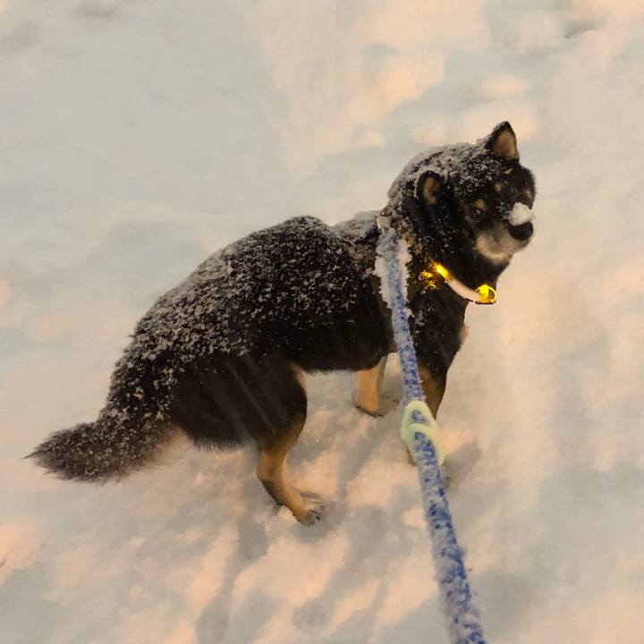 B6e05650 ea1c 4e72 abfe 74539ad7047c 1548240499897