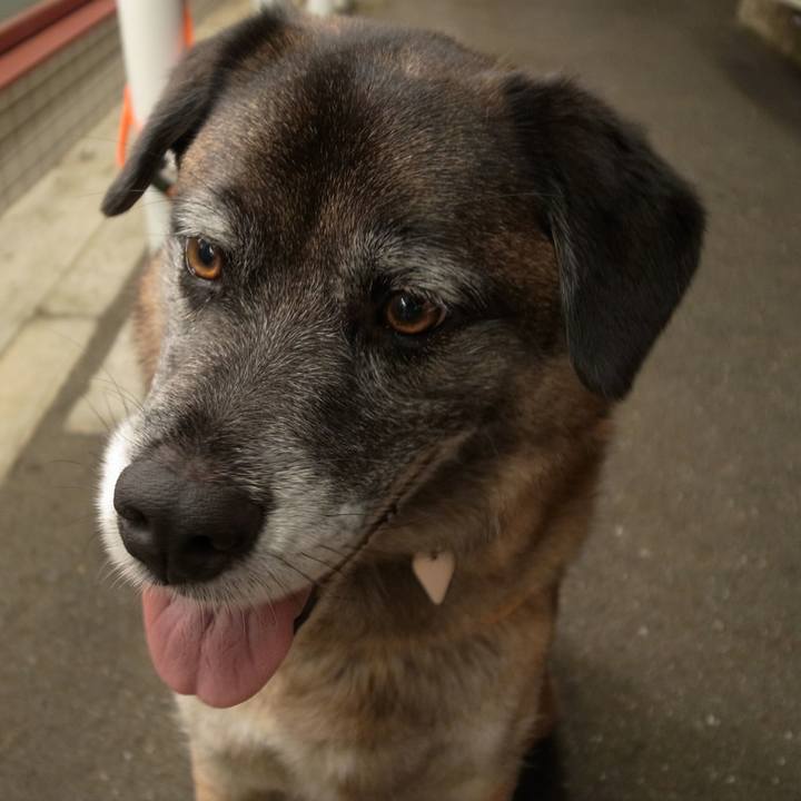 B6e05793 3534 4474 a312 ed480db9051c 1582453569632