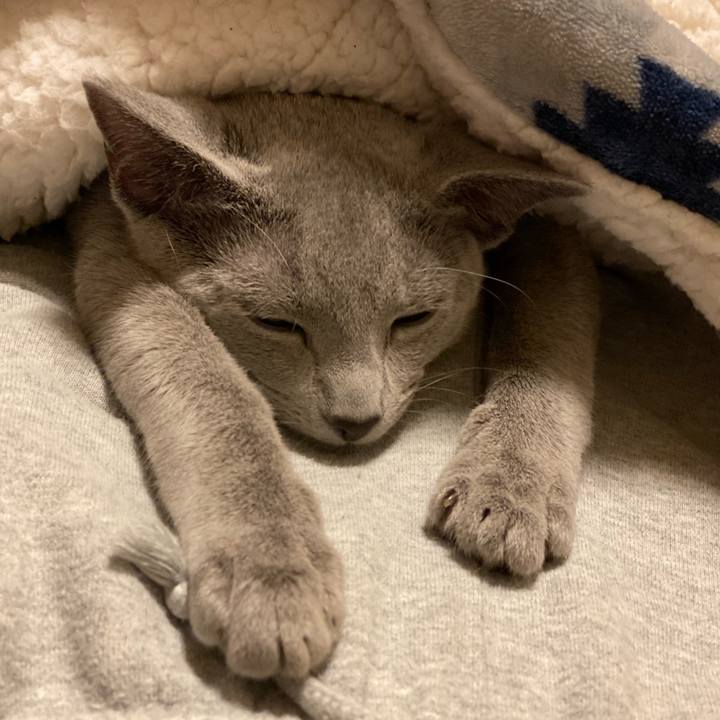 B6e08c73 926e 42ec 9a50 b3b0629f9985 1608960418522