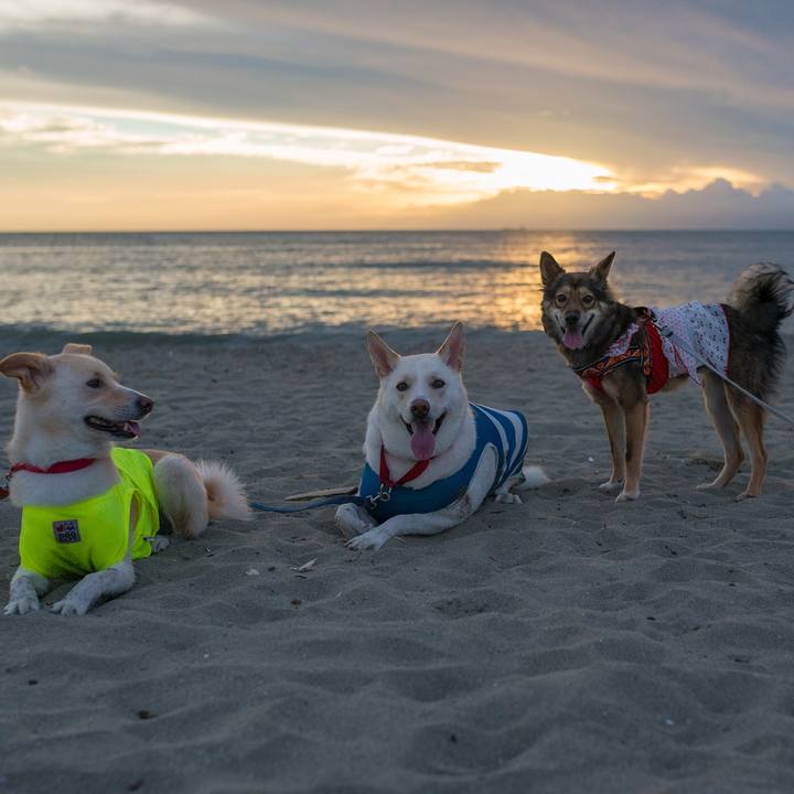 B6e0a140 5167 4cf3 ac6b cea01d470a8e 1534088149069