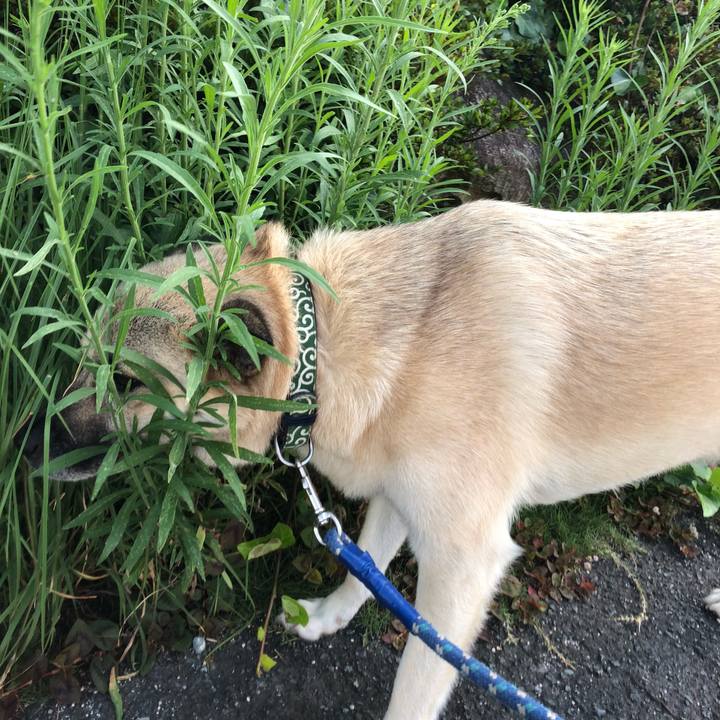 B6e0a24d f2f1 4f54 a8e5 dba792dae2bf 1564577755092