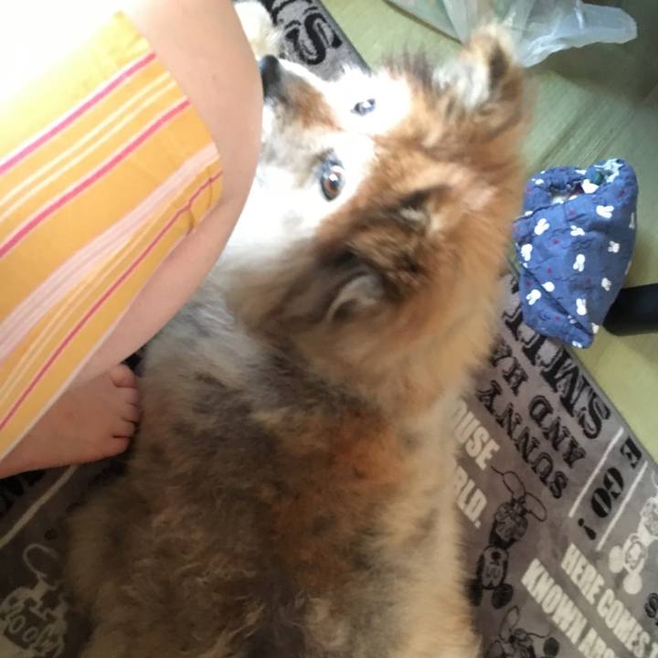 B6e0a747 b583 499a aad0 0b5a5b38a42d 1593278030301