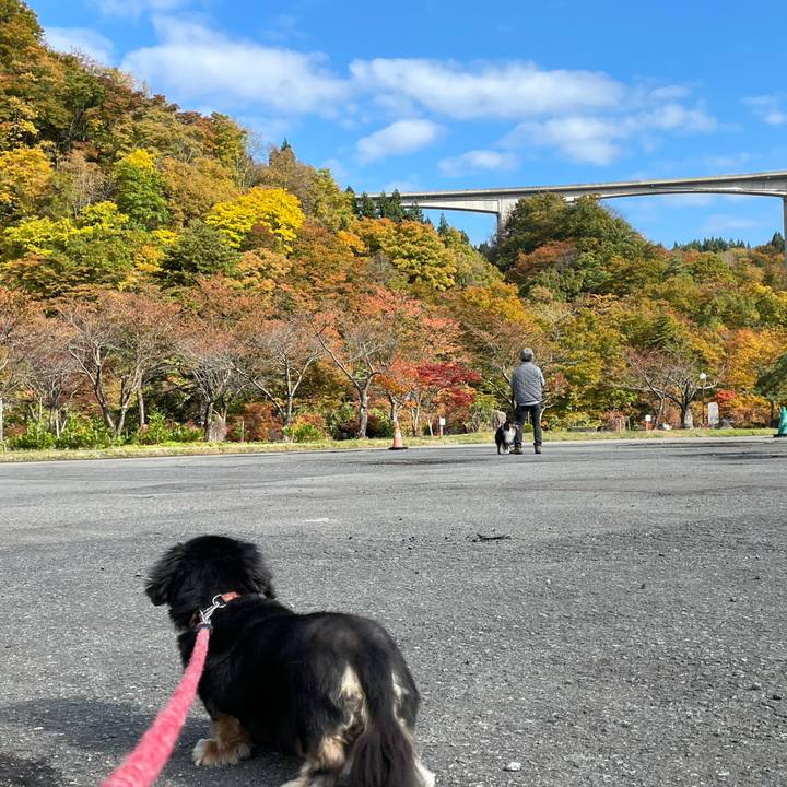 B6e0f9b9 c1b7 44ca 803d 8d82cb1a2865 1635554918424