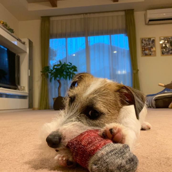 B6e12cb0 20f1 468f 8d42 06f7909a007d 1566121047962