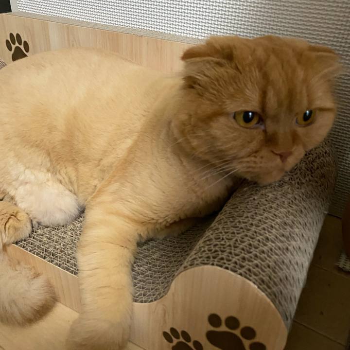 B6e13f47 56fa 4dea 8ccb 1b04ab705daf 1720070906596