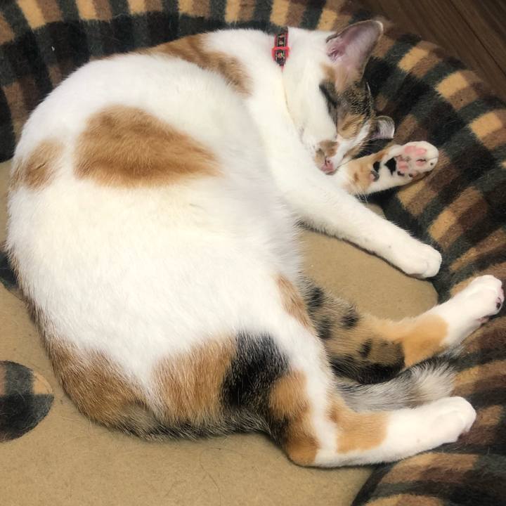 B6e14cea 68fe 4e23 b787 c74061291d2d 1580557772600