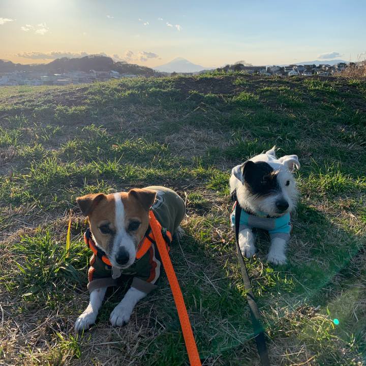 B6e16e8e 4ace 4305 8010 2fc0ae1d15f9 1552292842585