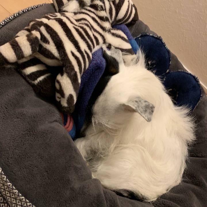 B6e176e5 1134 40d4 b01f 1840032cbfb1 1674480302604