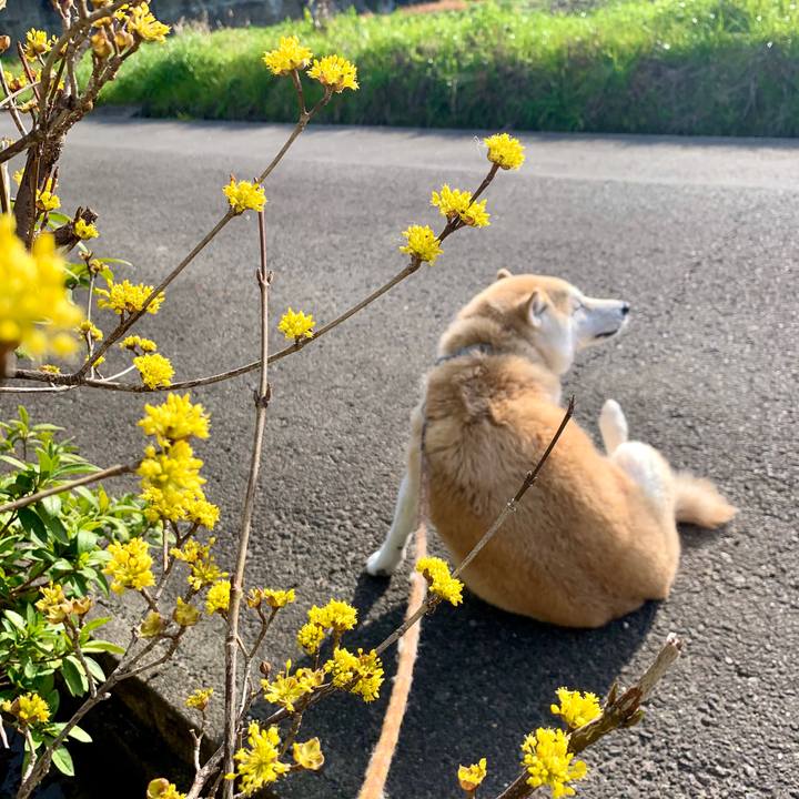 B6e186d1 57d5 48d2 a894 14bd427c9370 1584468359338