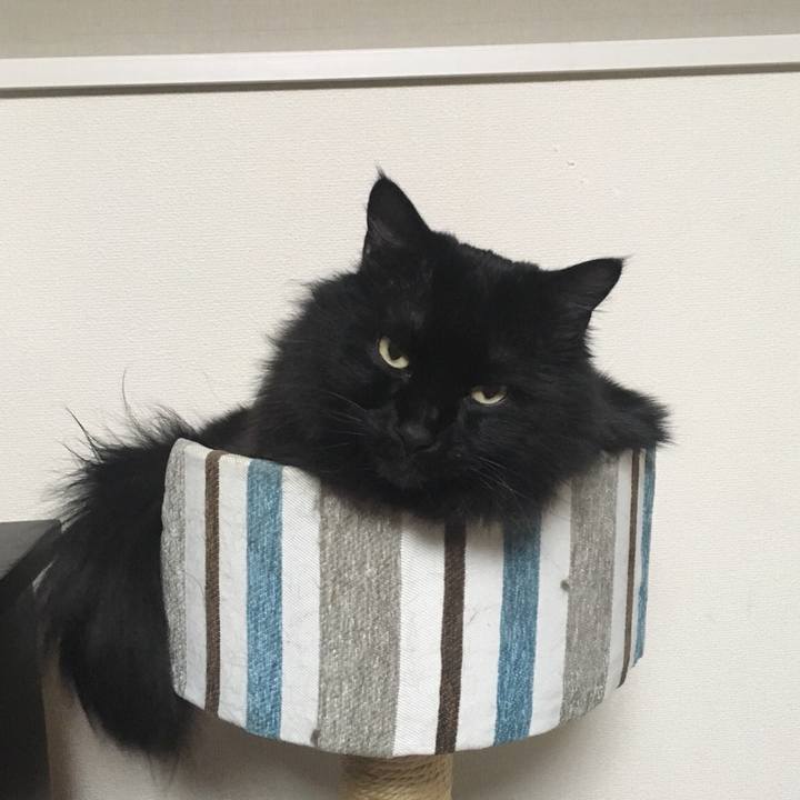 B6e191ab 8258 4e4f aef9 7ef0aebe590e 1517329907233