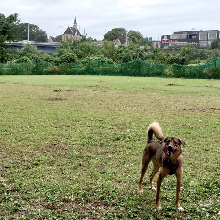 B6e1b978 07e0 4797 b88a cce17b448dd4 1728125951106